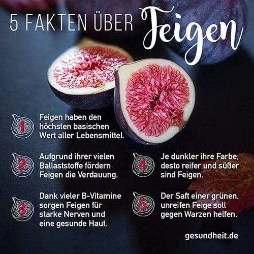 5 Fakten über Feigen (Infografik)