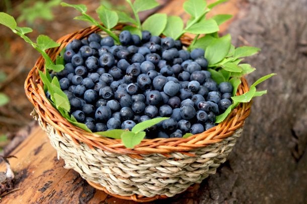 Heidelbeeren: kleine, blaue Früchte als Superfood