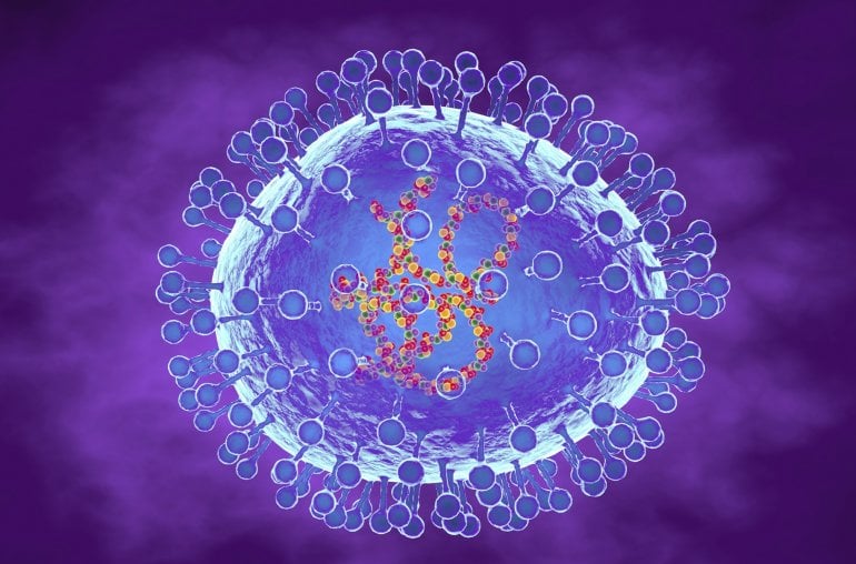 Grafische Darstellung eines humanen Metapneumovirus