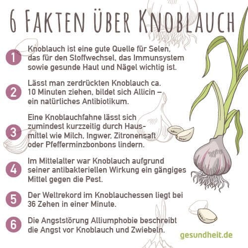 6 Fakten über Knoblauch (Infografik)