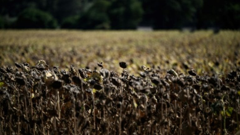 La France enregistre 400 décès supplémentaires lors de la canicule du mois d’août