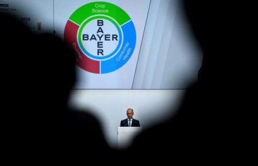 AFP-News-Bild