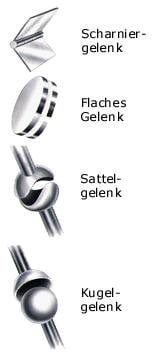 Gelenke (Illustration)